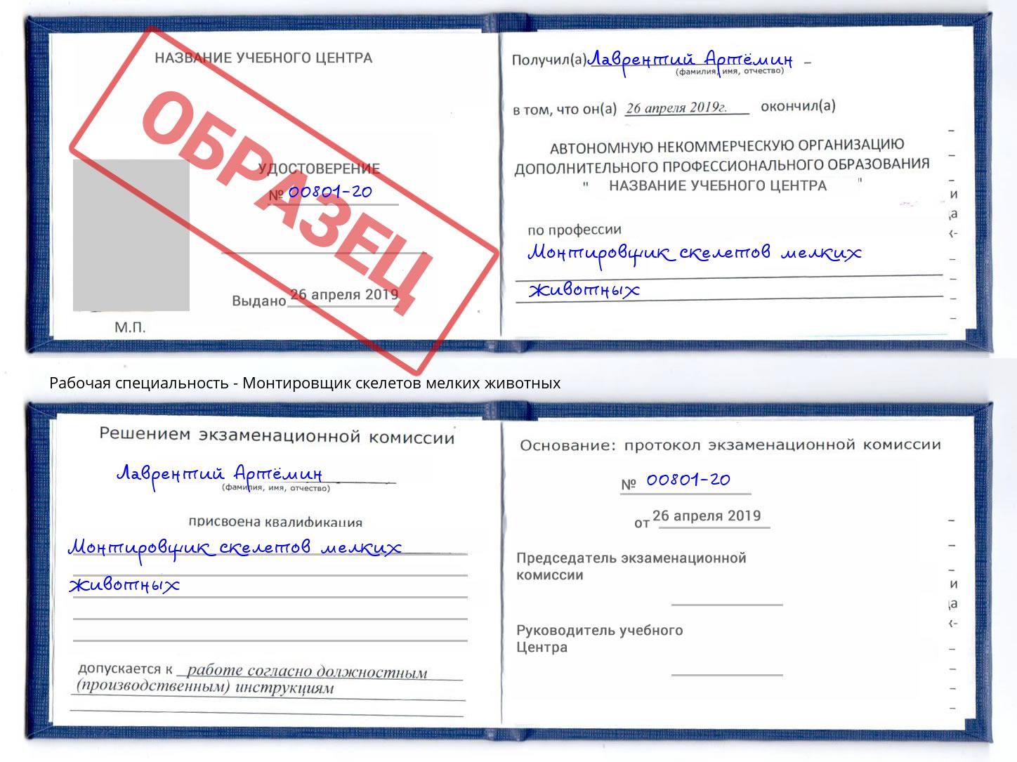 Монтировщик скелетов мелких животных Урюпинск