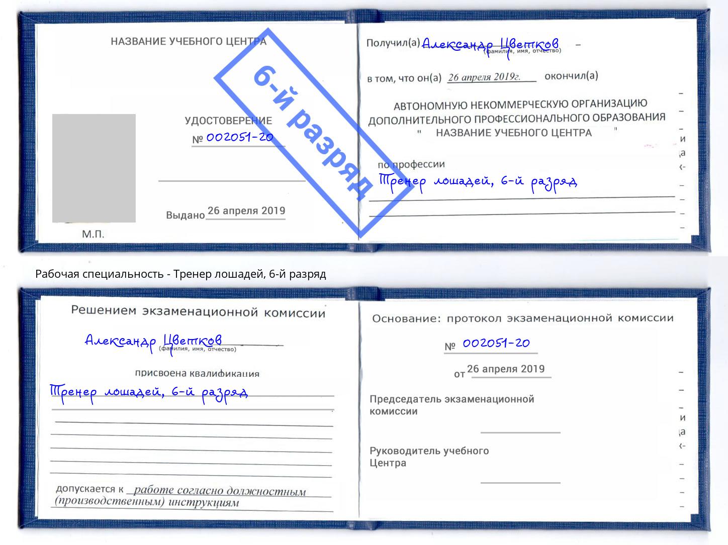корочка 6-й разряд Тренер лошадей Урюпинск
