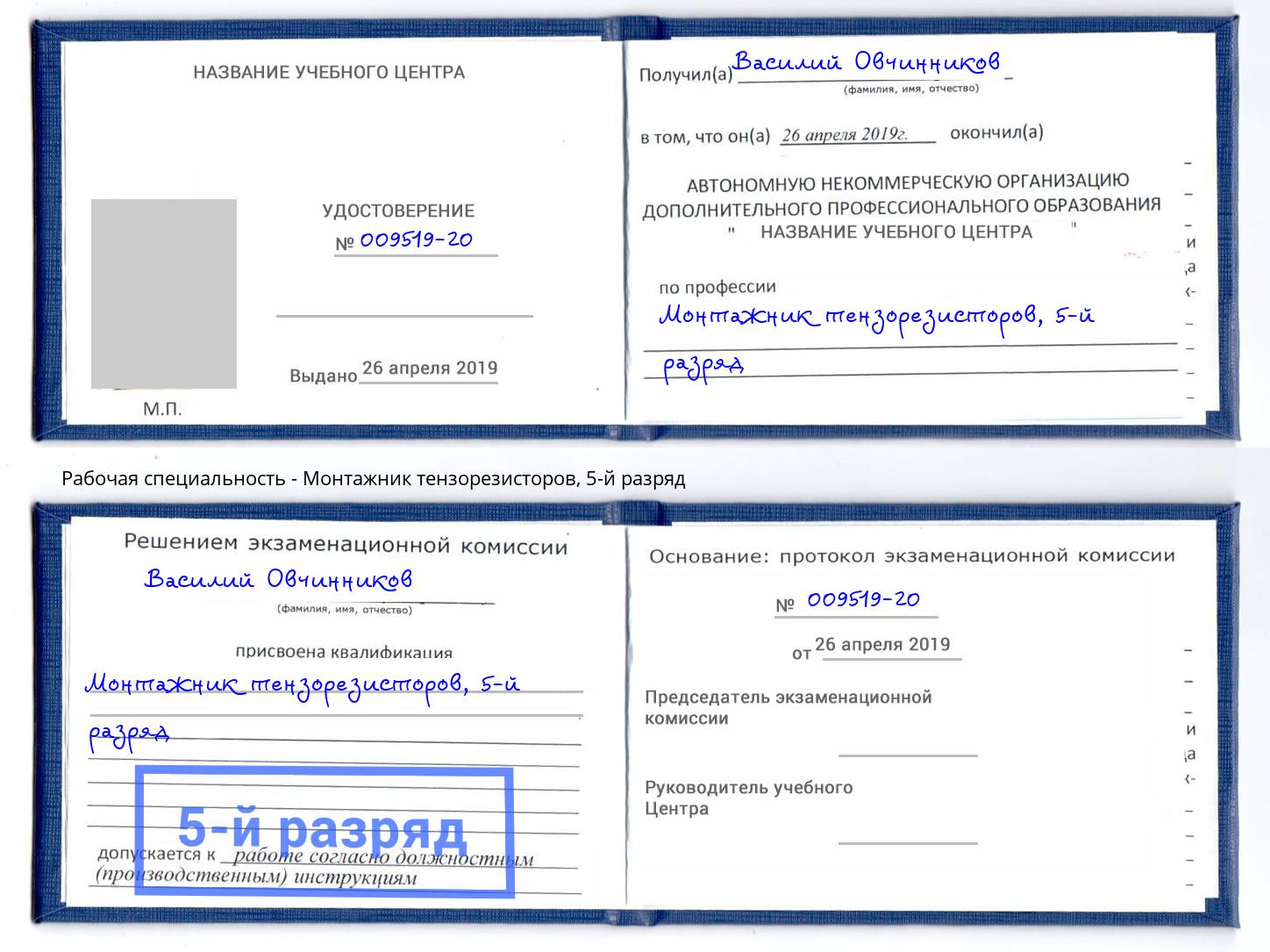корочка 5-й разряд Монтажник тензорезисторов Урюпинск
